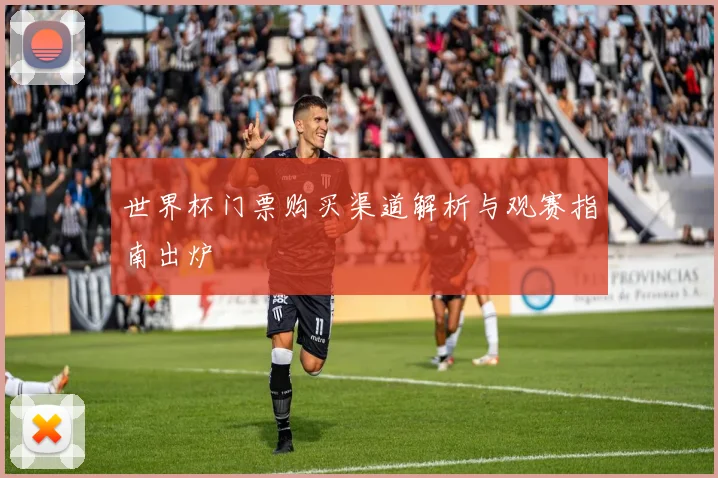 世界杯门票购买渠道解析与观赛指南出炉