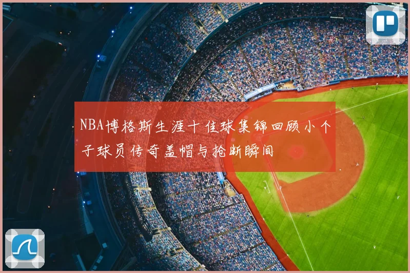 NBA博格斯生涯十佳球集锦回顾小个子球员传奇盖帽与抢断瞬间