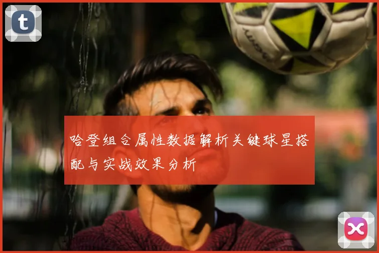 哈登组合属性数据解析关键球星搭配与实战效果分析